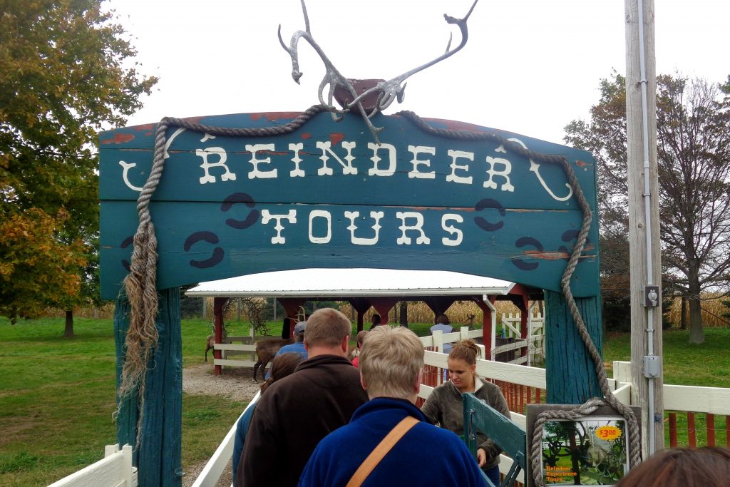 Hardy’s Reindeer Ranch, Fall Bucket List