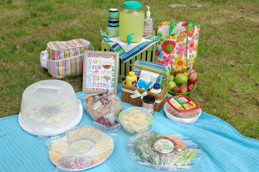 FREE Guide On The Perfect Picnic Set Up — Amro Menor