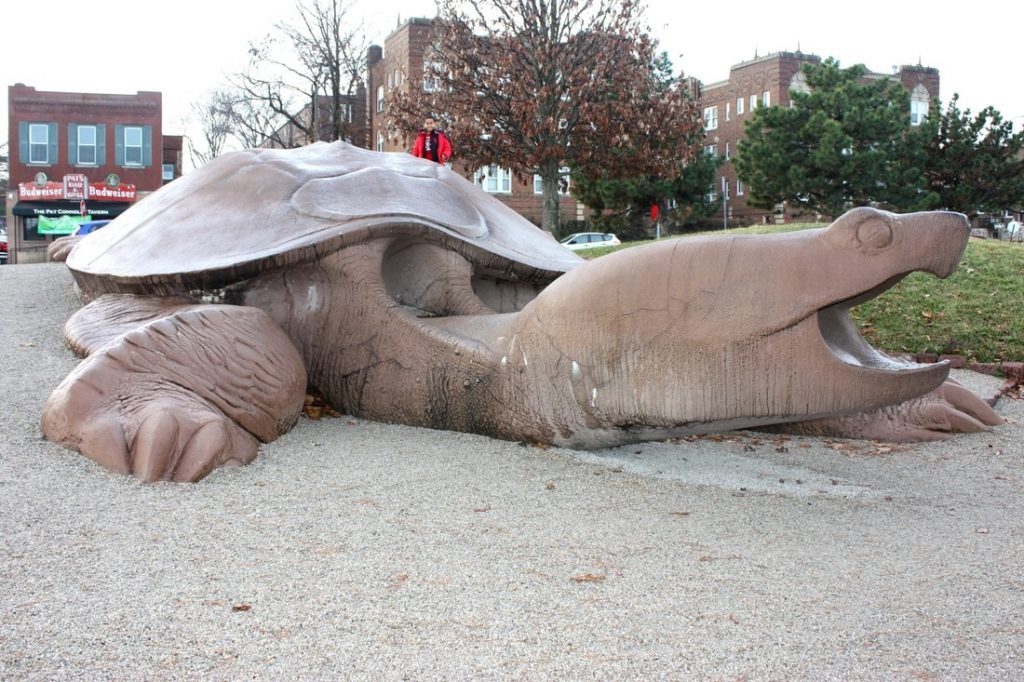 St. Louis Zoo Free Parking at Turtles