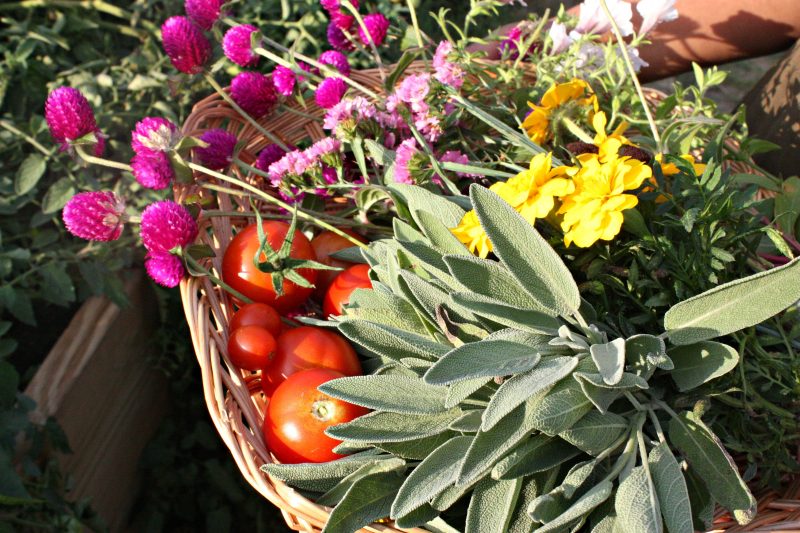 How to Make Your Own Floral Sage Bundles at Home - Just Brennon Blog