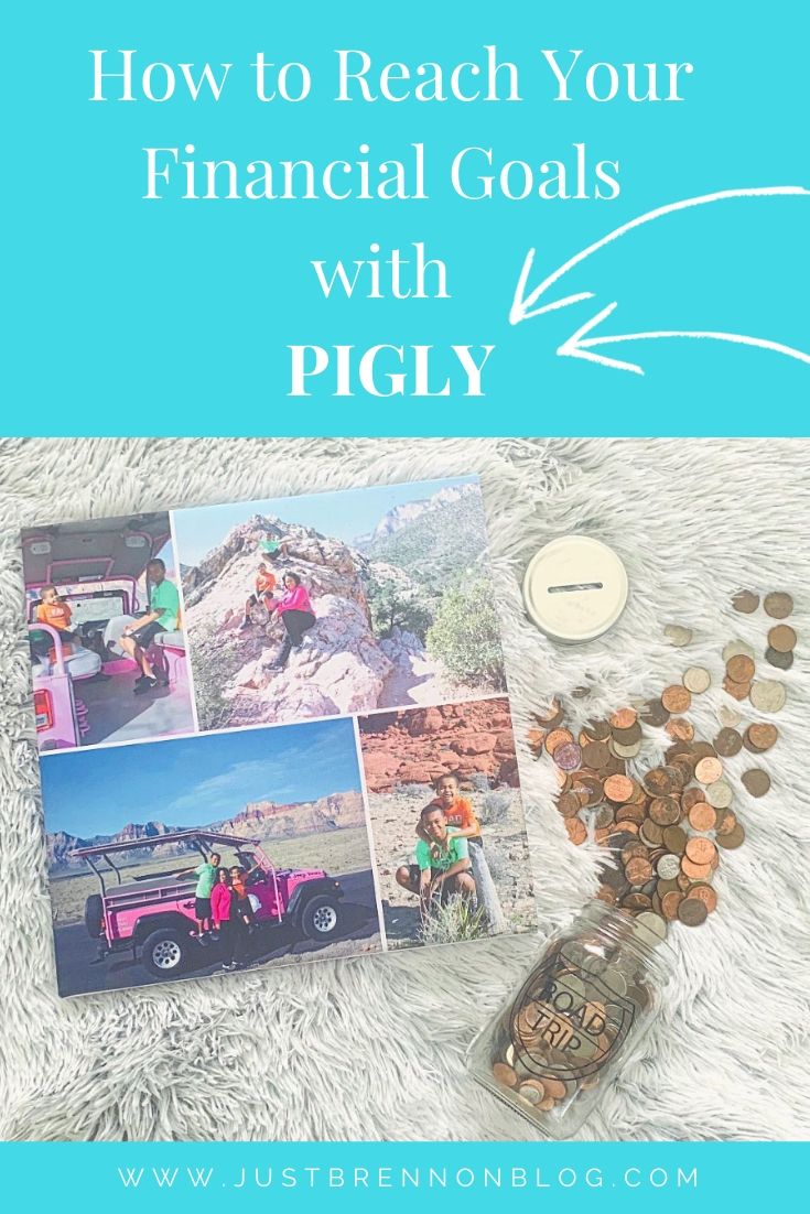 How to Reach Your Financial Goals with Pigly