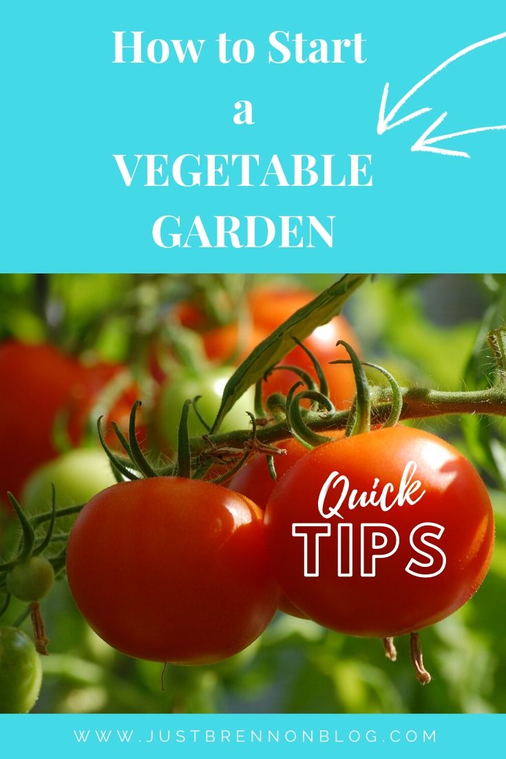 How to Start a Vegetable Garden