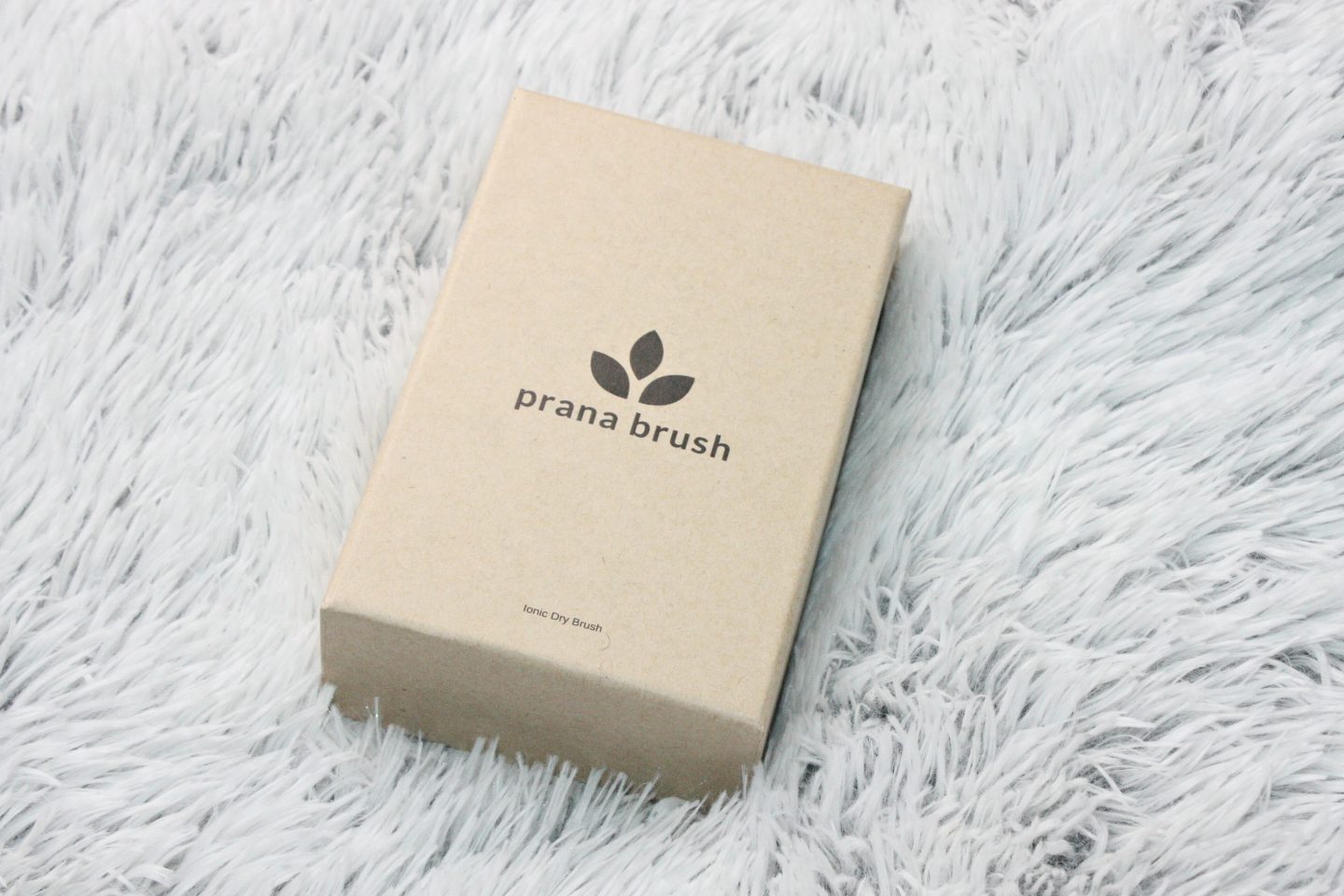 Prana Brush Review