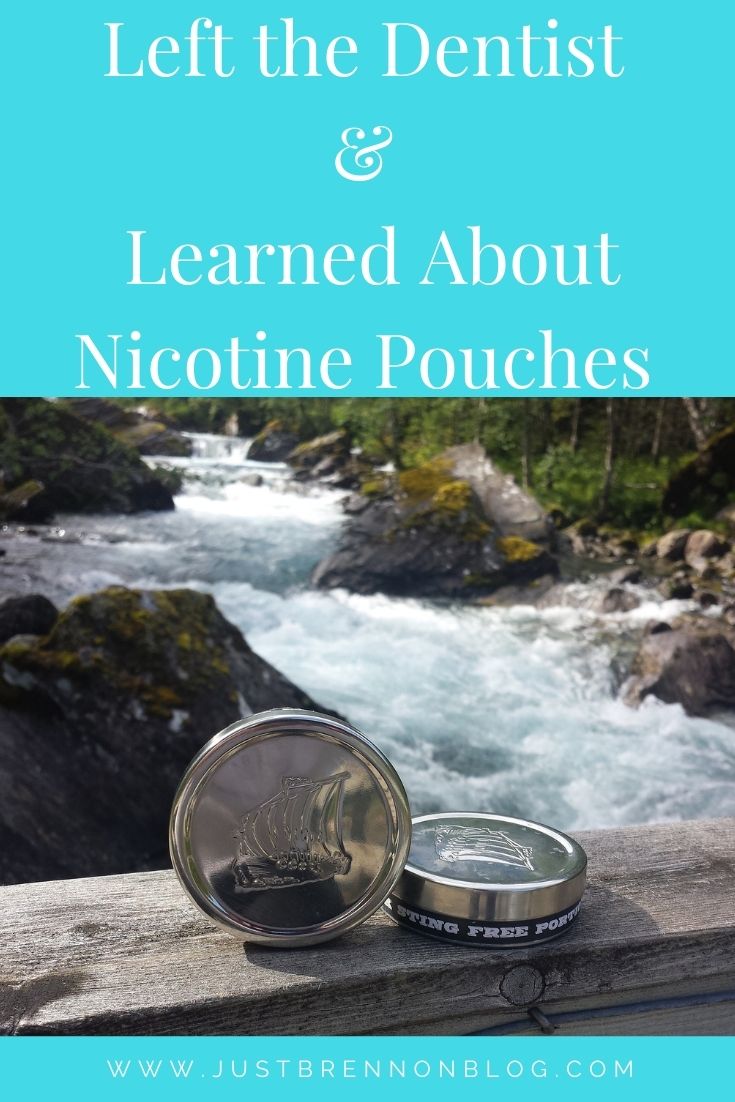 Nicotine Pouches 