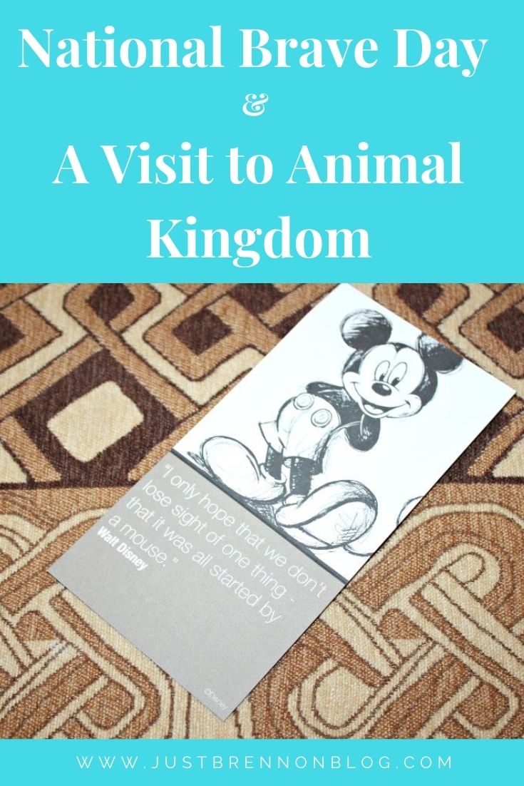 National Brave Day & A Visit to Animal Kingdom
