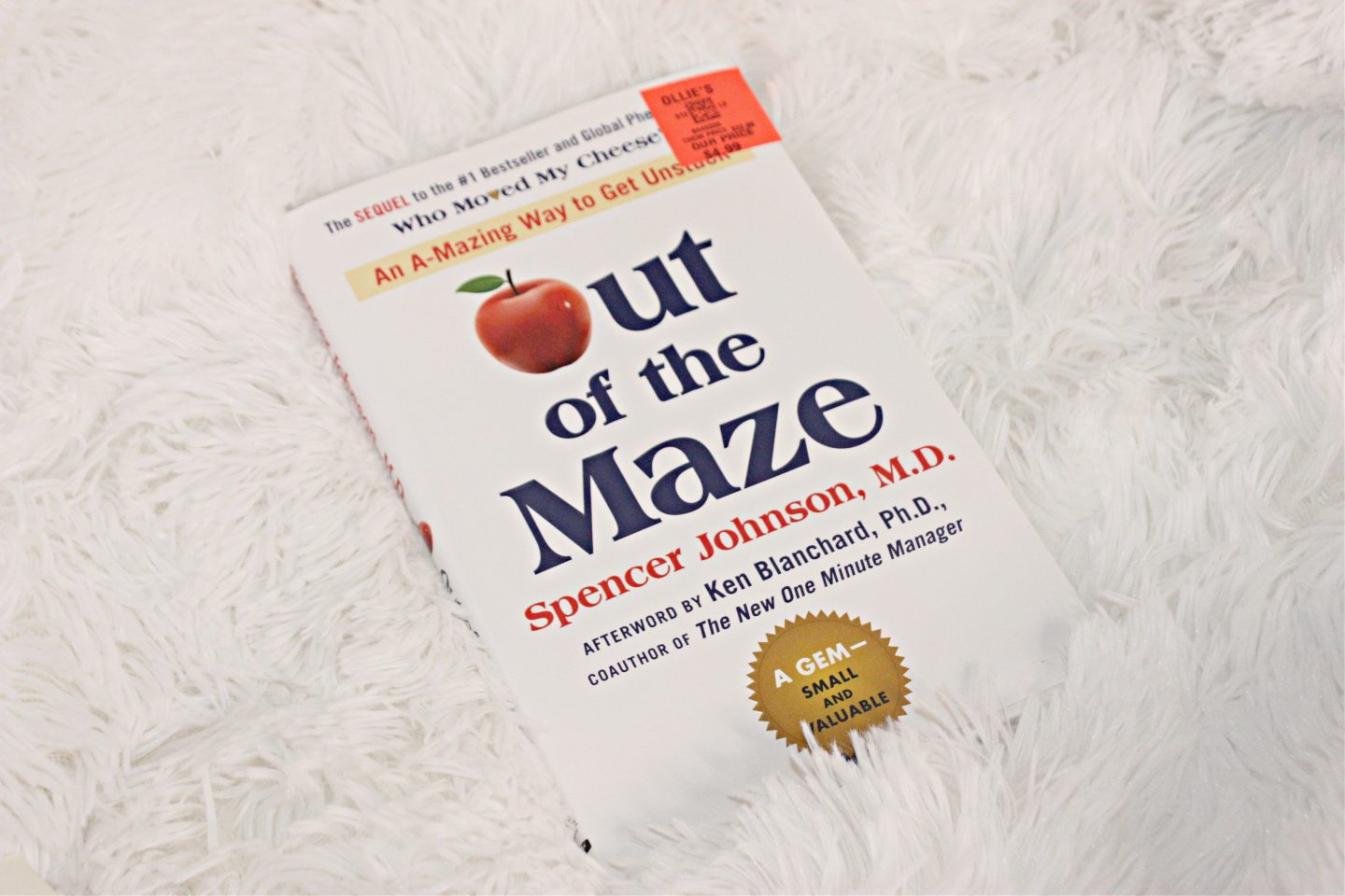 Who Moved My Cheese? and Out of the Maze by Spencer Johnson | A Review in 2023