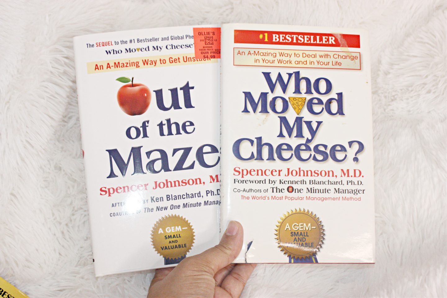 Who Moved My Cheese? and Out of the Maze by Spencer Johnson | A Review in 2023