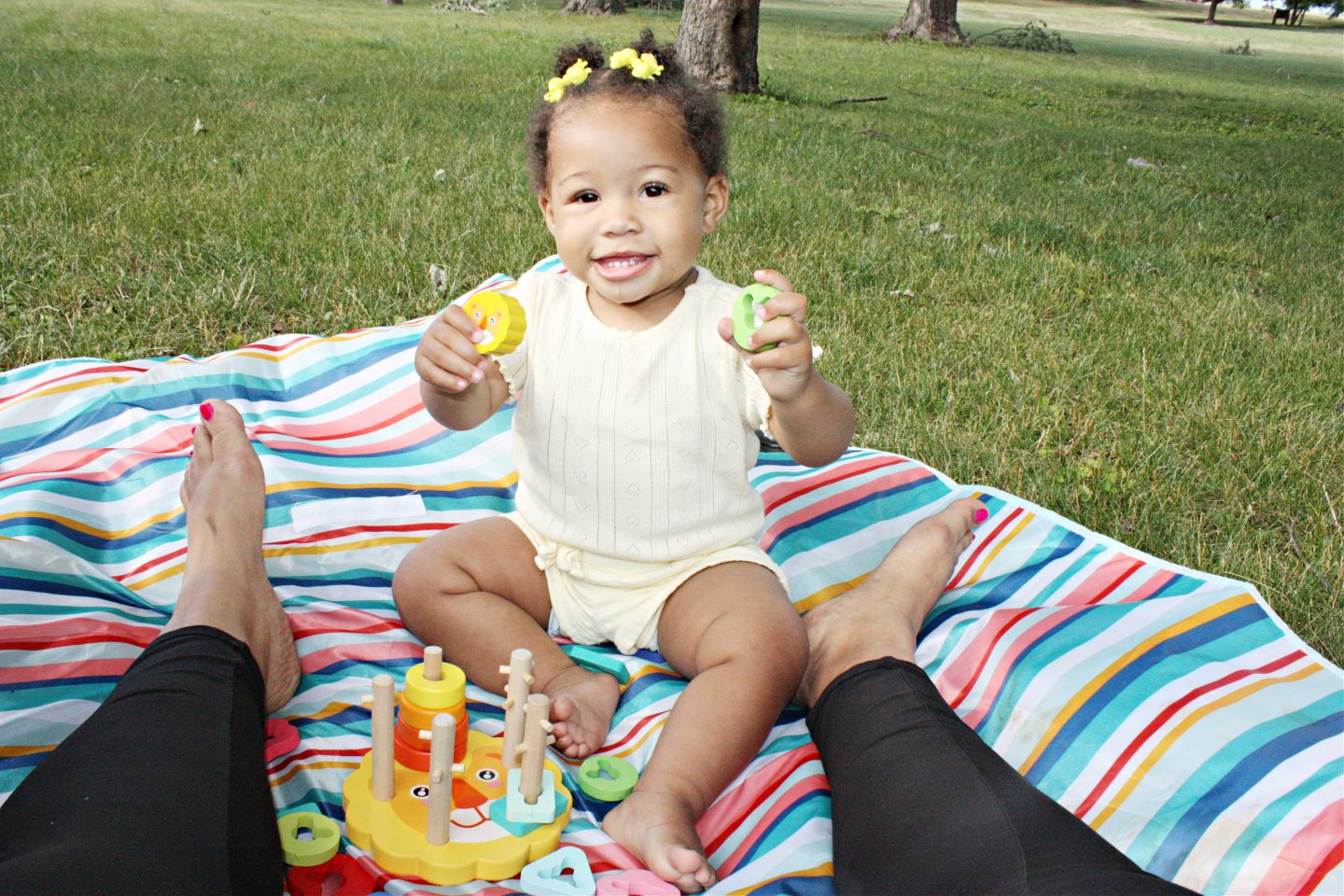 A Summer Play Date: Boxiki Wooden Shape Sorter Toy (Lion)