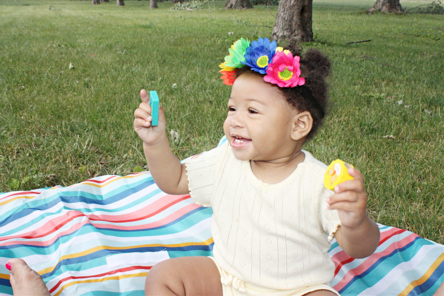 A Summer Play Date: Boxiki Wooden Shape Sorter Toy (Lion)