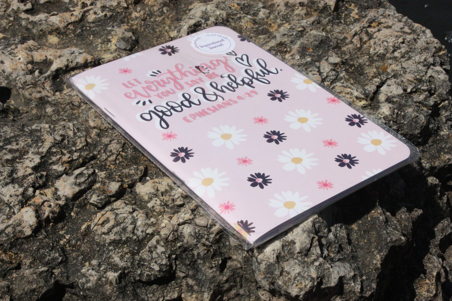 Strawberry Notebook (2)