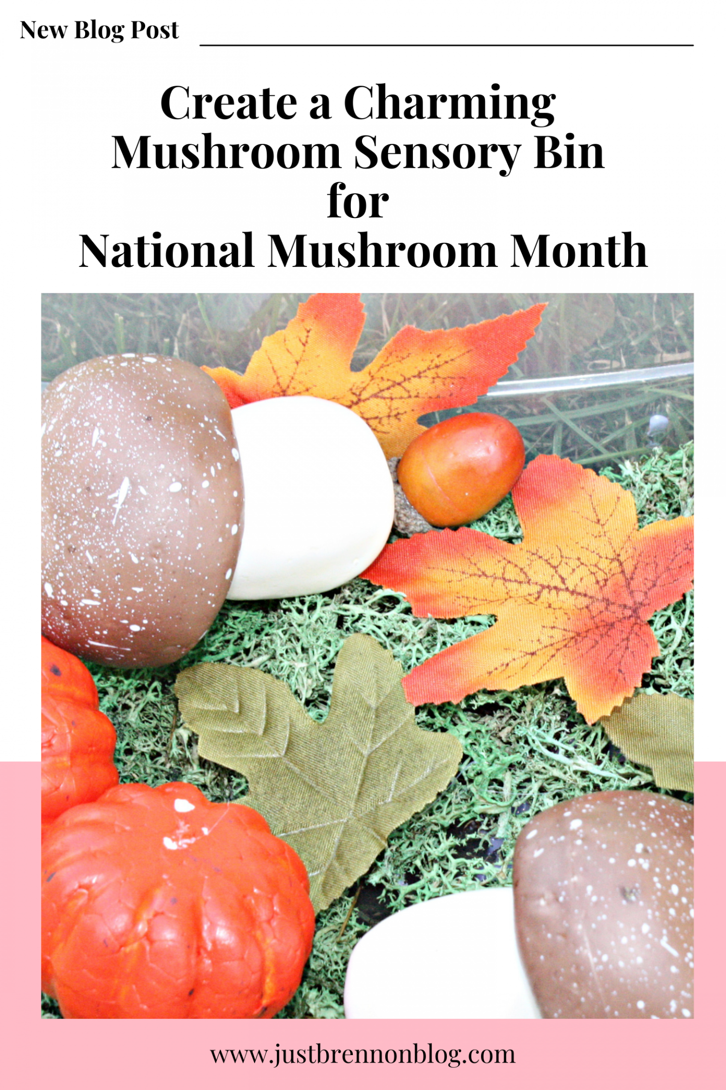 Create a Charming Sensory Bin for National Mushroom Month