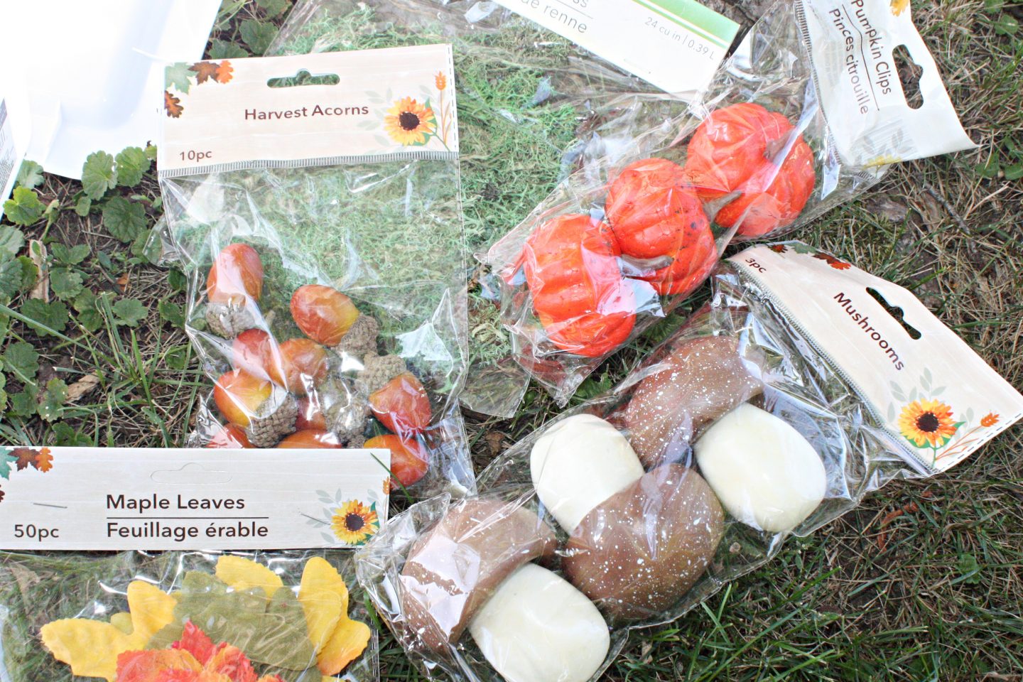 Create a Charming Mushroom Sensory Bin for National Mushroom Month