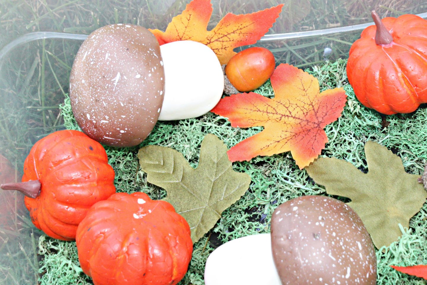 Create a Charming Mushroom Sensory Bin for National Mushroom Month