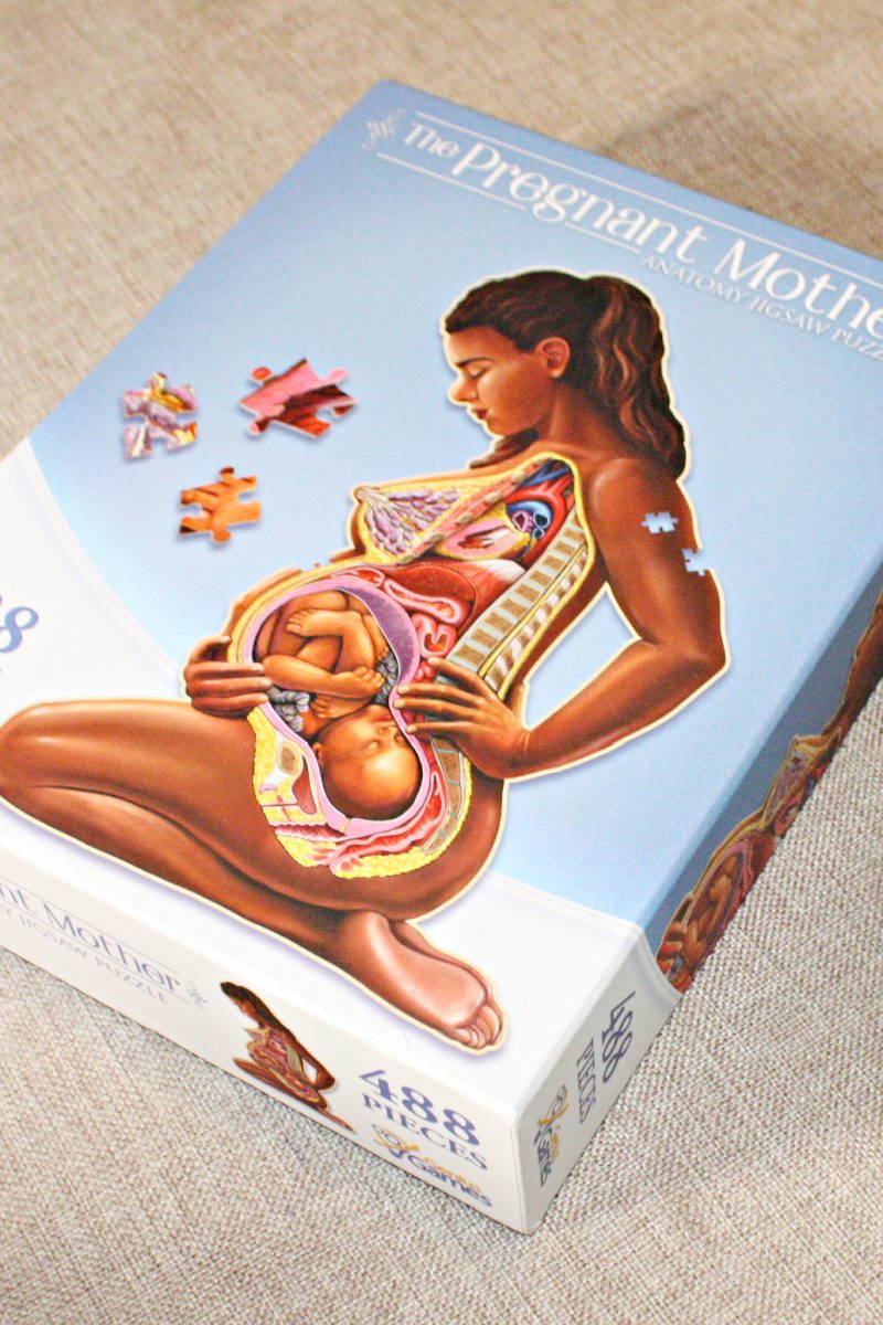 January is National Hobby Month | Pregnant Mother Anatomy Jigsaw Puzzle Review