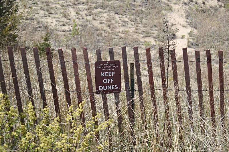 Exploring Indiana Dunes National Park in adidas TERREX Swift R3 Gore-Tex Waterproof Hiking Shoes 