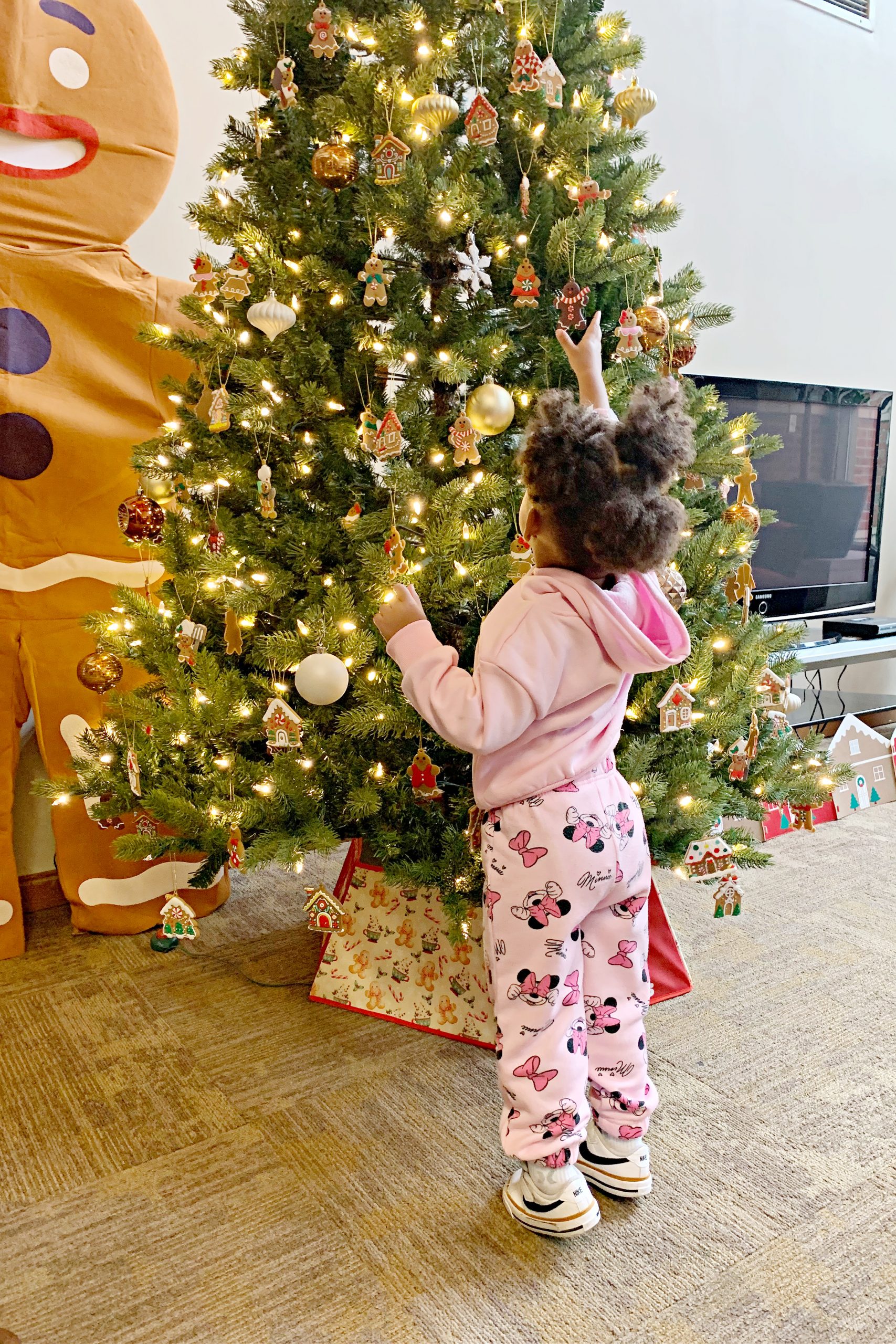 Deck the Halls at the Ronald McDonald House  